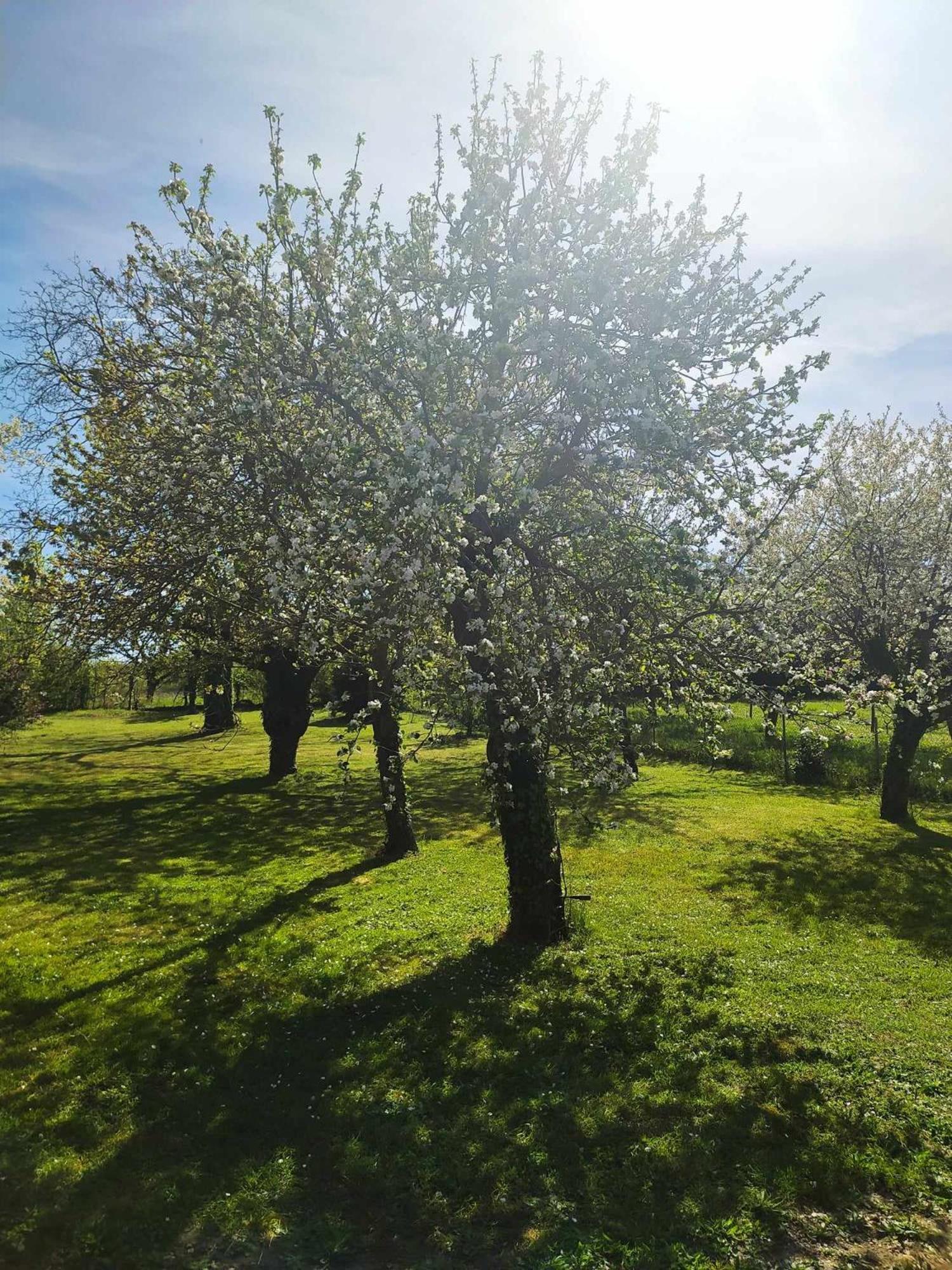 Le Gite De Poulas Couffy Exteriér fotografie